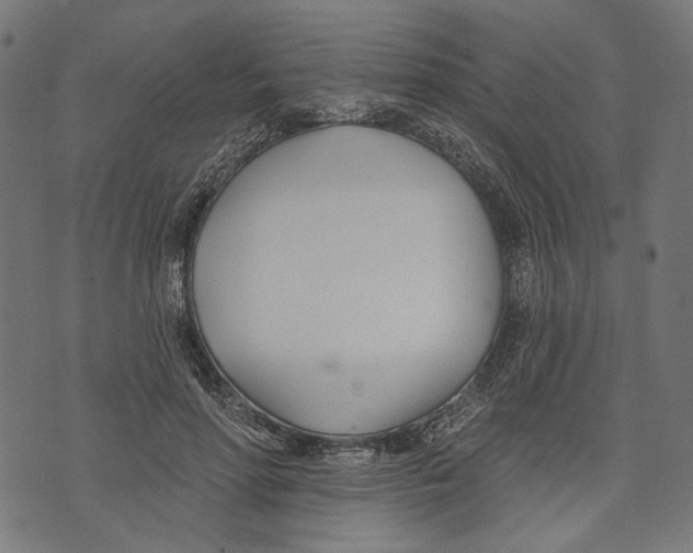 X0000073950598200609181403