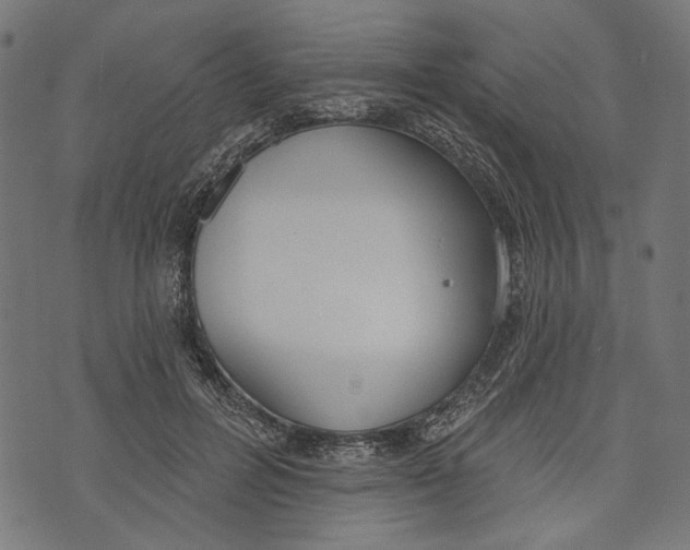 X0000073950600200609181403