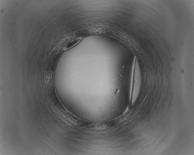 X0000073950601200609181403