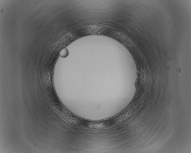 X0000073950602200609181403