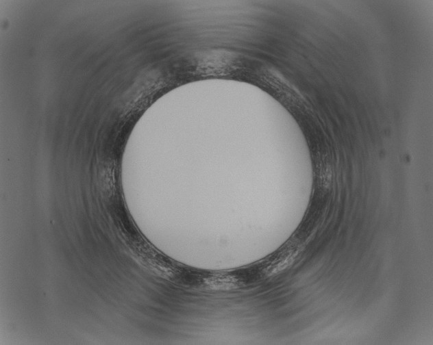 X0000073950603200609181403