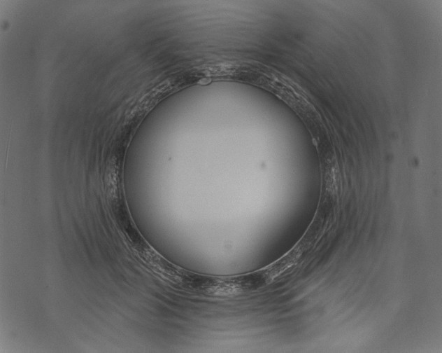 X0000073950604200609181403