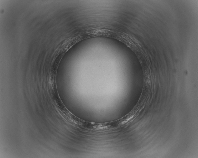 X0000073950607200609181403