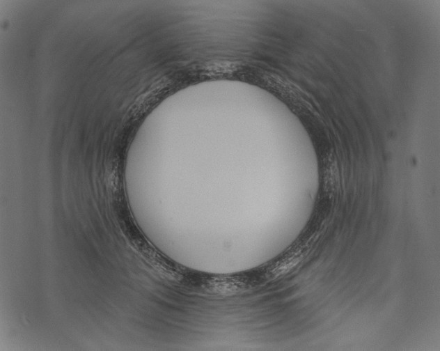 X0000073950608200609181403