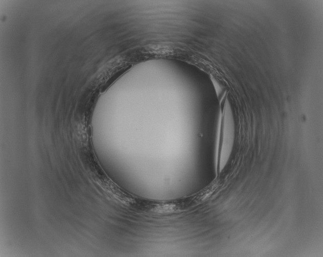 X0000073950609200609181403