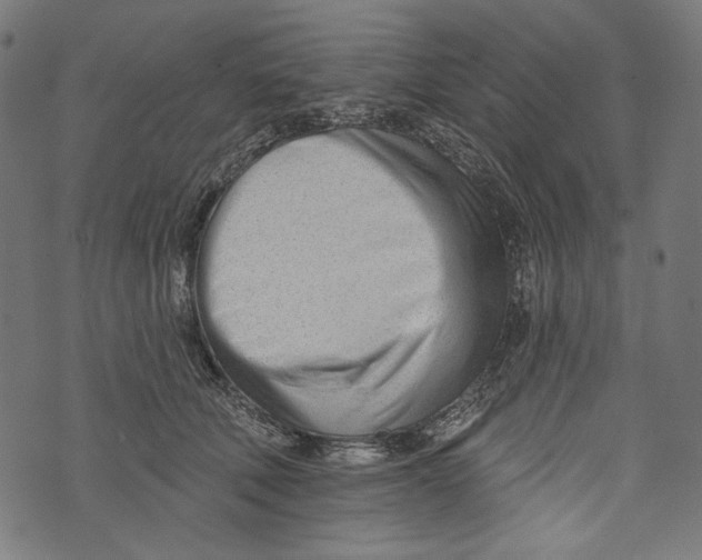 X0000073950610200609181403