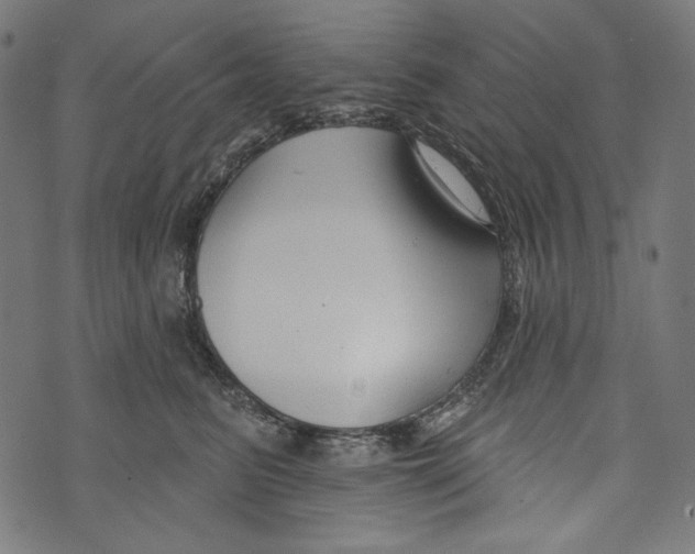 X0000073950615200609181403