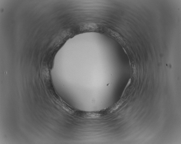 X0000073950617200609181403