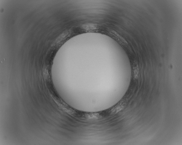 X0000073950618200609181403