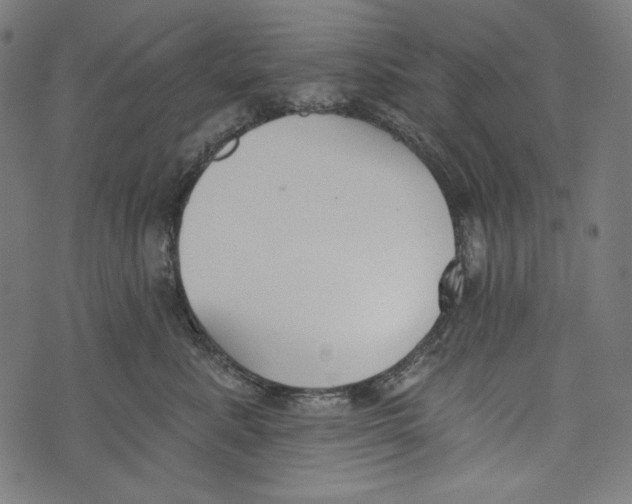 X0000073950619200609181403