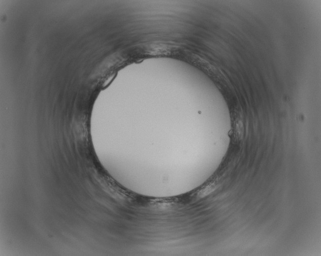 X0000073950620200609181403