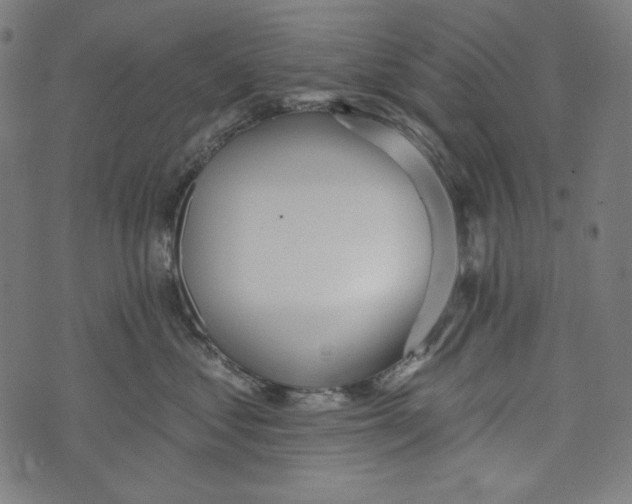 X0000073950621200609181402