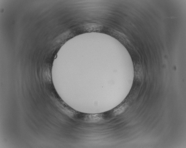 X0000073950622200609181402