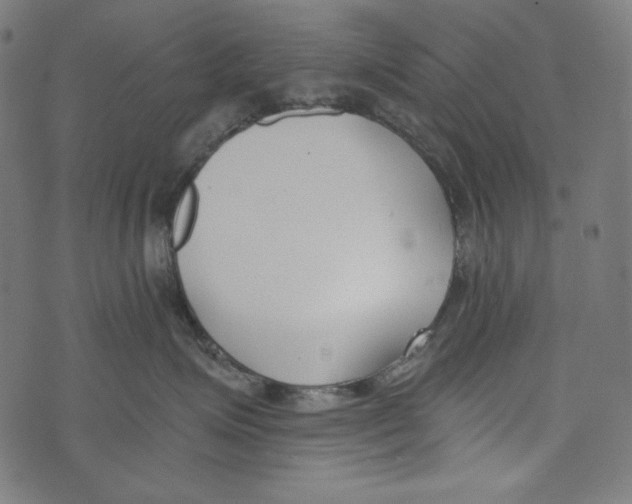 X0000073950623200609181402