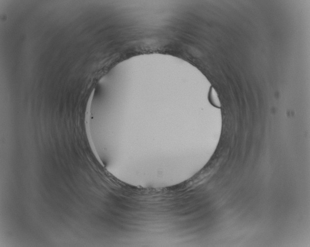 X0000073950624200609181402