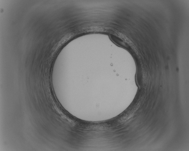 X0000073950625200609181402