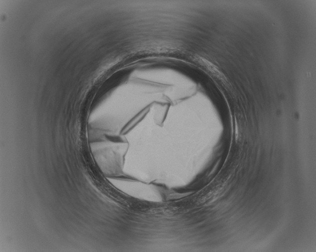 X0000073950627200609181402