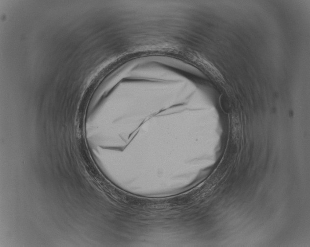 X0000073950628200609181402