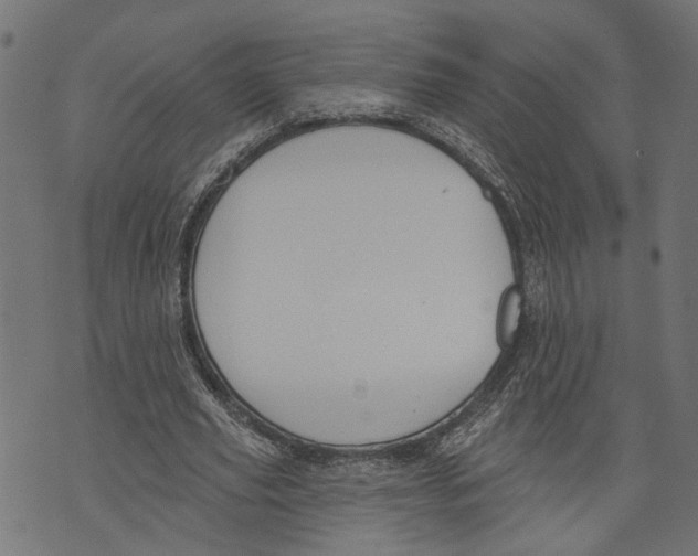 X0000073950629200609181402