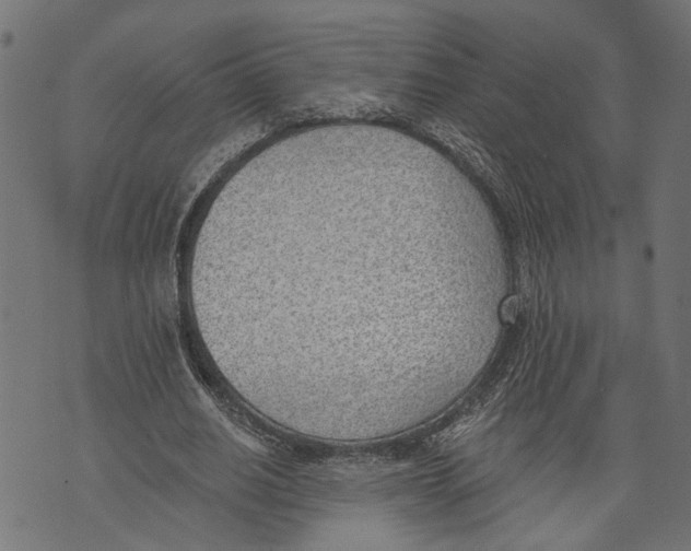 X0000073950630200609181402