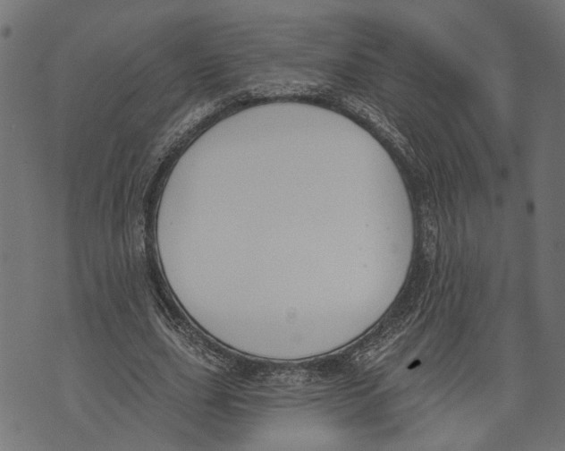 X0000073950631200609181402