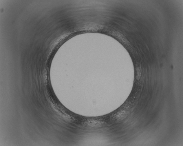 X0000073950632200609181402