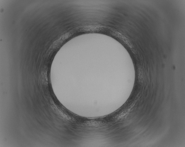 X0000073950633200609181402