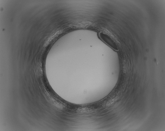 X0000073950634200609181402