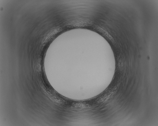 X0000073950635200609181402