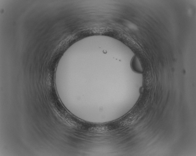 X0000073950639200609181402