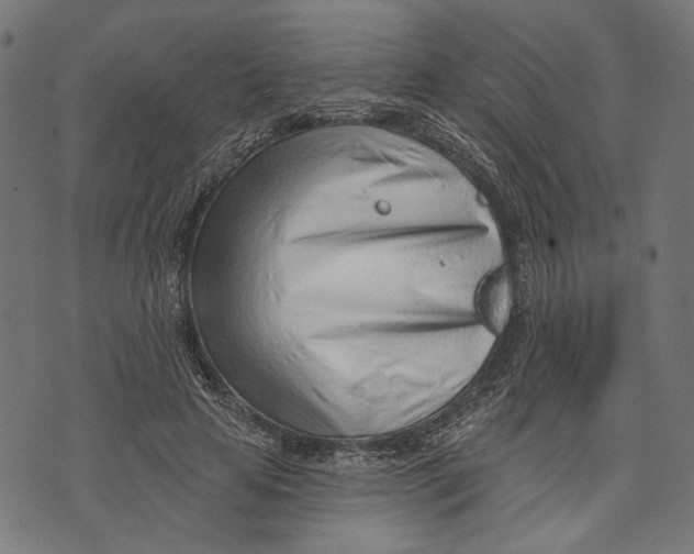 X0000073950641200609181402