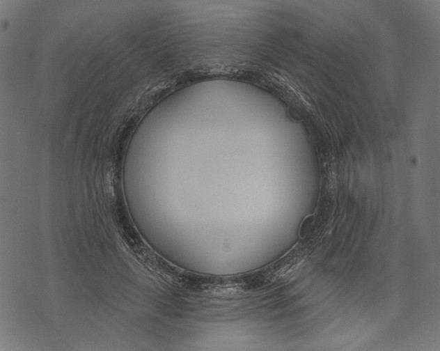 X0000073950643200609181402