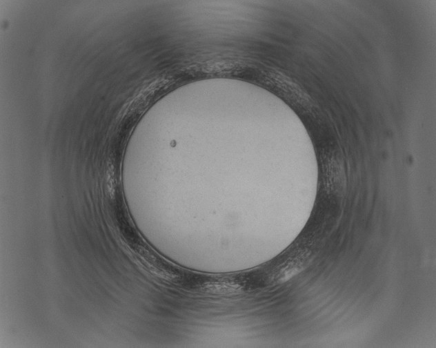 X0000073950644200609181402