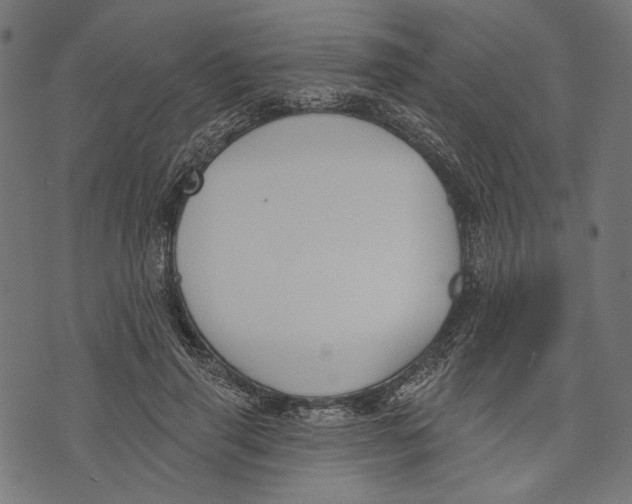 X0000073950645200609181402