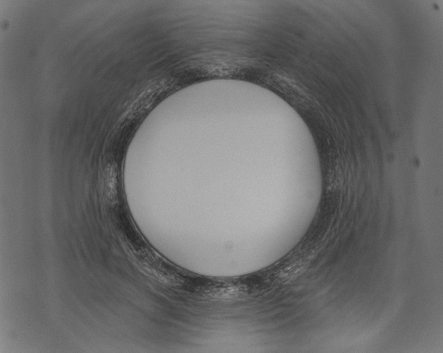 X0000073950646200609181402