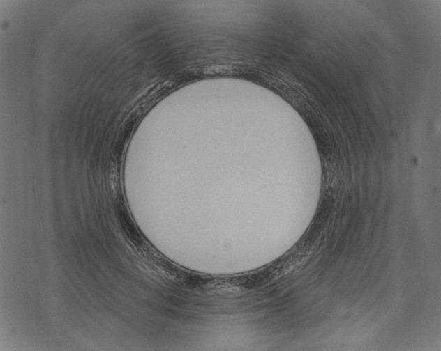 X0000073950648200609181402