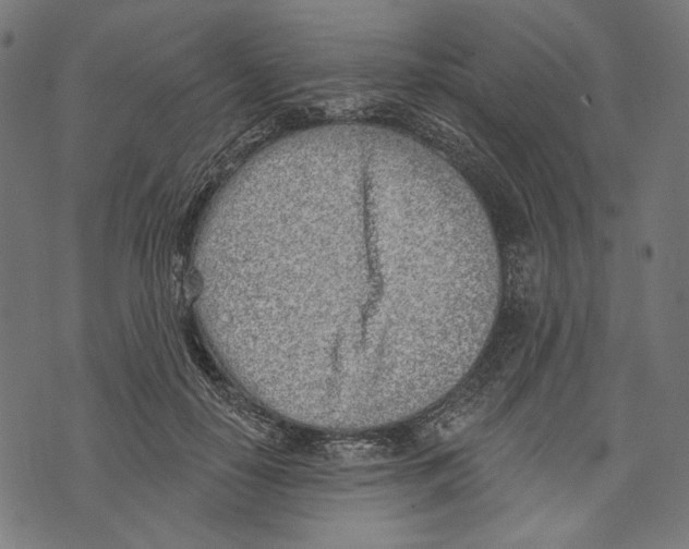 X0000073950650200609181402