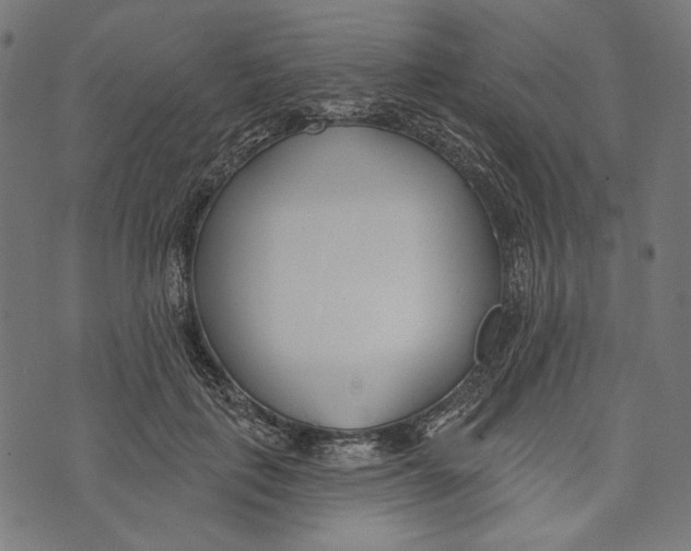 X0000073950651200609181402