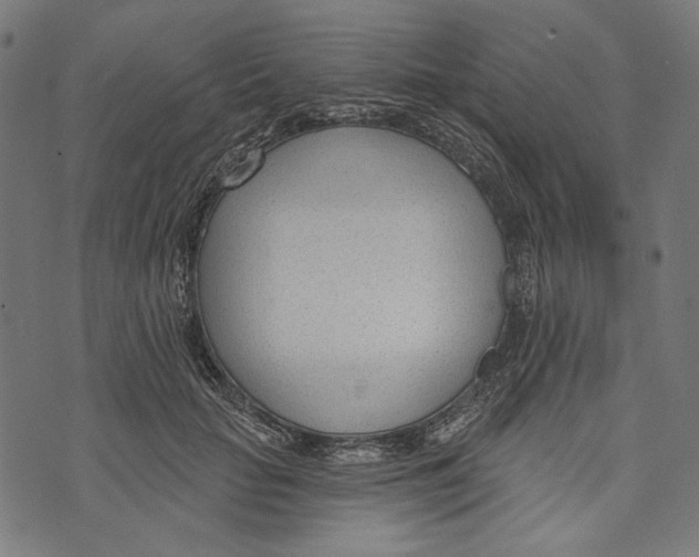 X0000073950653200609181402