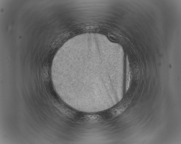 X0000073950654200609181402