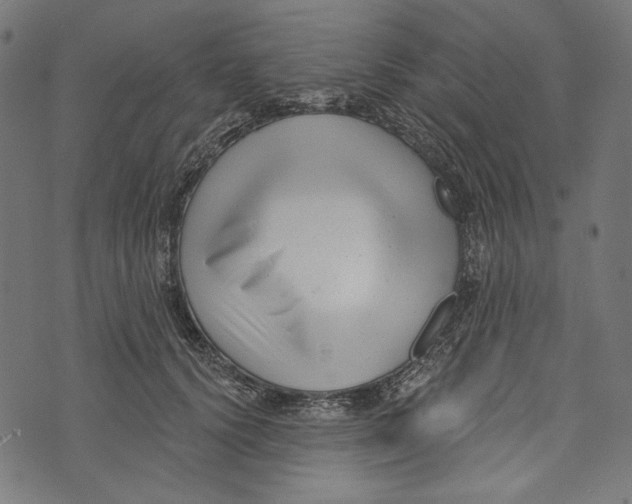 X0000073950656200609181402