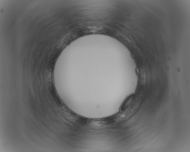 X0000073950657200609181402