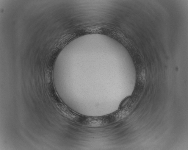 X0000073950658200609181402