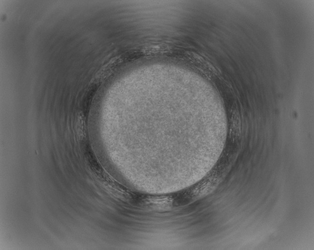 X0000073950659200609181402