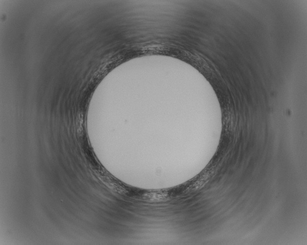 X0000073950660200609181402