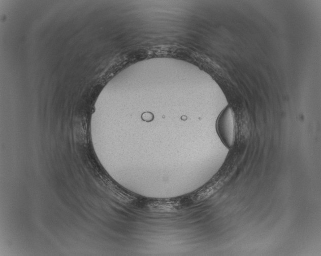 X0000073950661200609181402