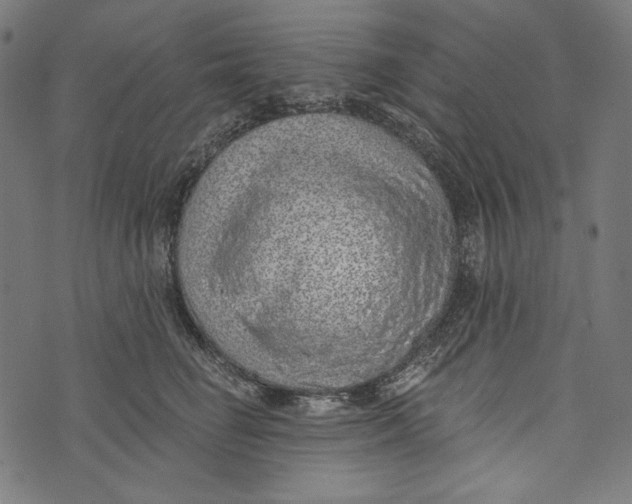 X0000073950662200609181402