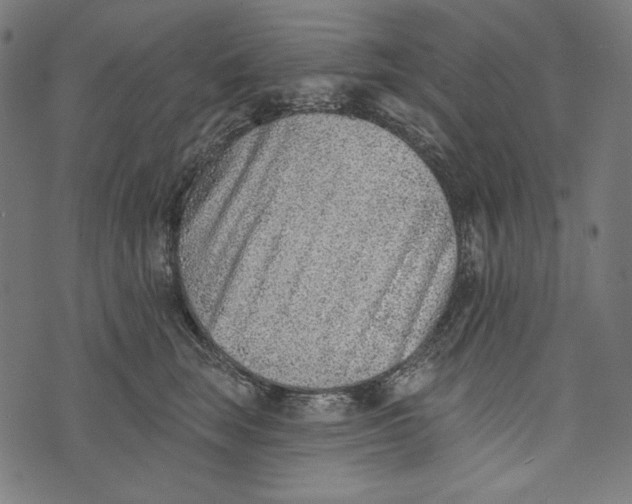 X0000073950663200609181402