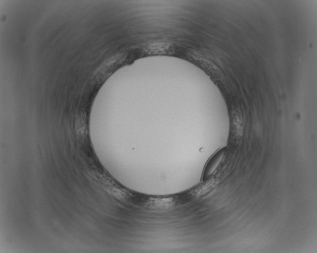 X0000073950665200609181402