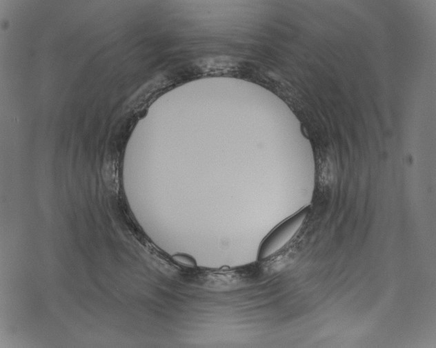 X0000073950666200609181402